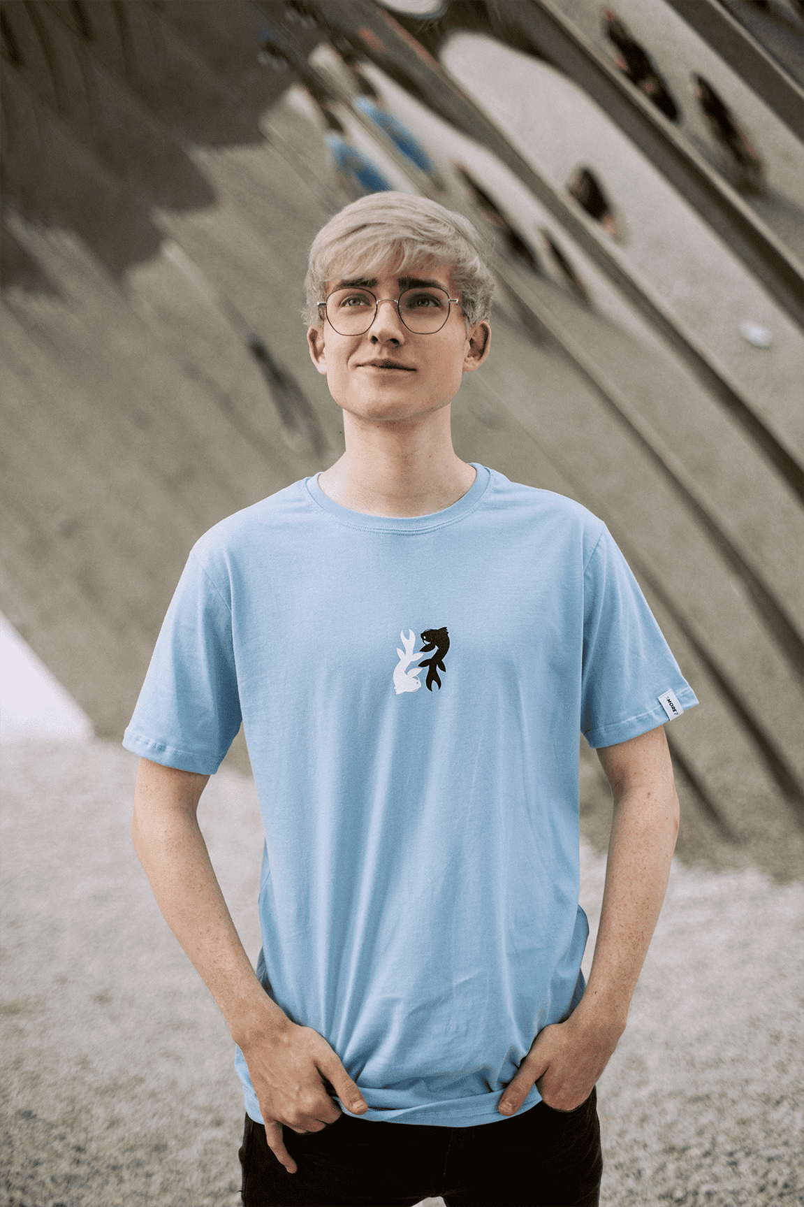 Img